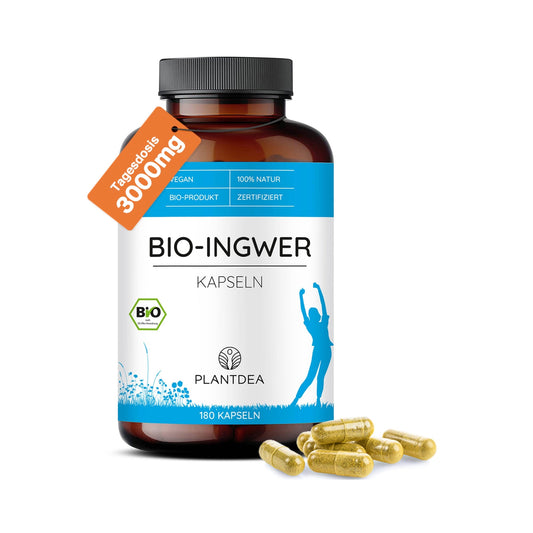 Bio Ingwer Kapseln